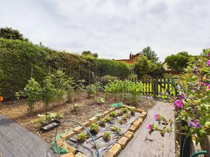 Vegetable patch- click for photo gallery
